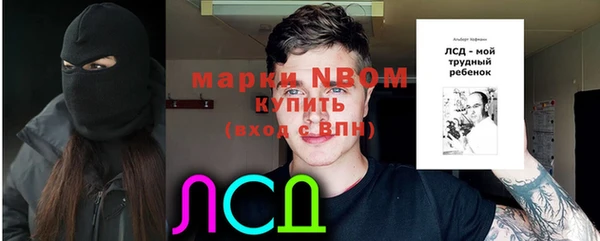 тгк Гусь-Хрустальный